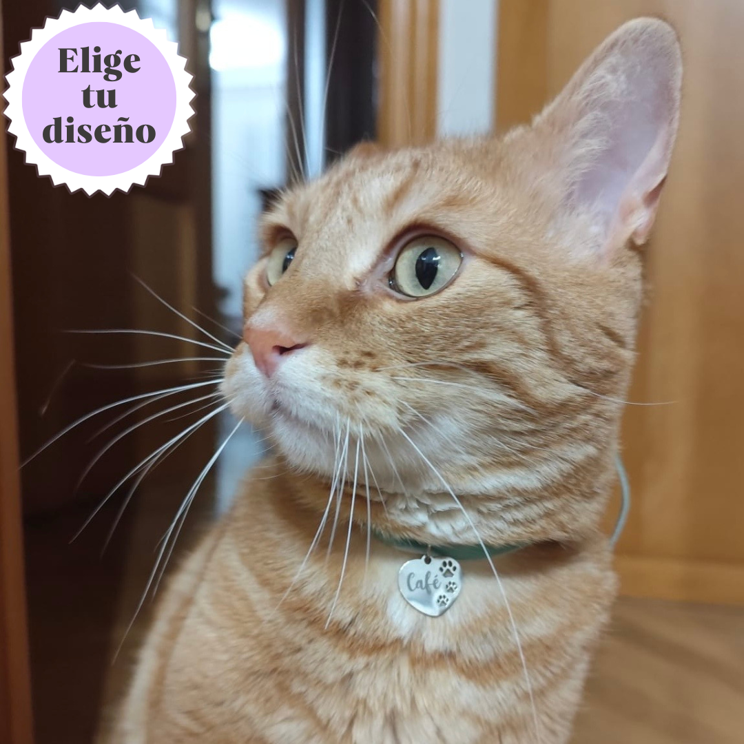 Felino Tag
