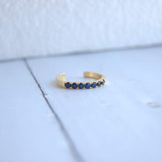 Anillo Anfisa